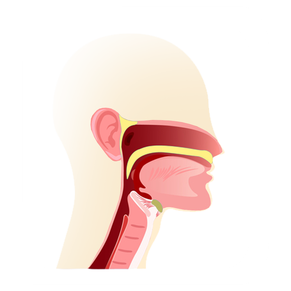 Servicios-Otosalud-2